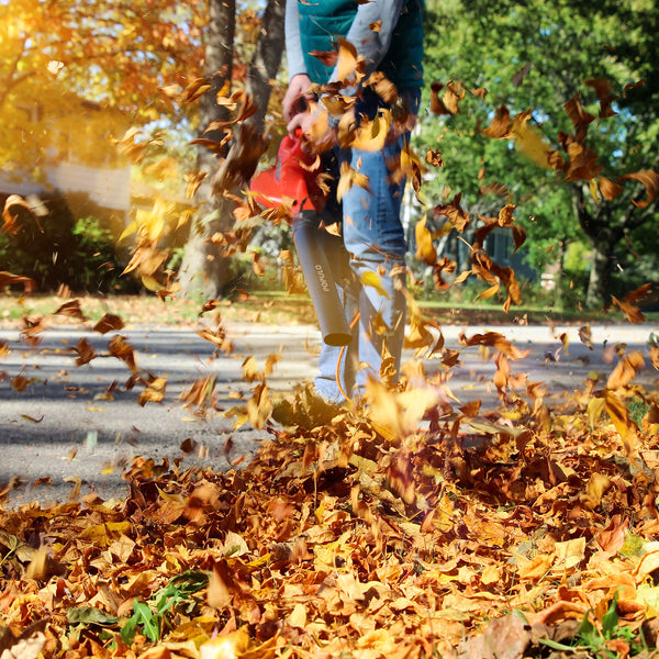 20V LEAF BLOWER – Populo Tools